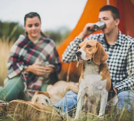 Camping Garden Park Pitches Radovljica