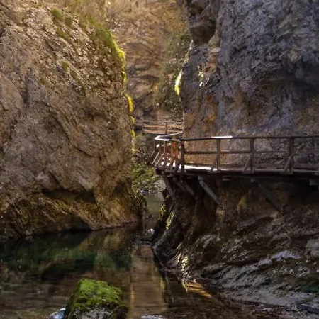 Camping Garden Park Pitches Kemp Radovljica