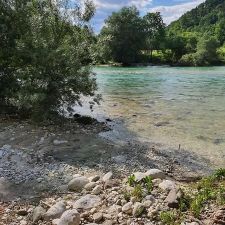 Camping Garden Park Pitches Radovljica