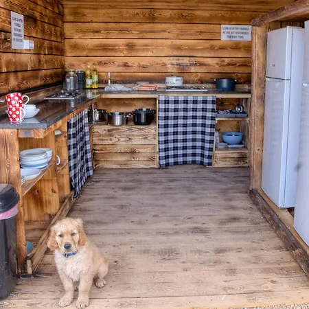 Kamp alanı Camp Garden Park-pitches And Tents *