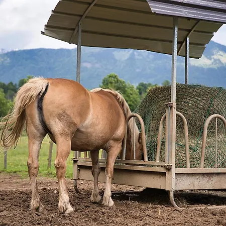 Camp Garden Park-pitches And Tents Radovljica